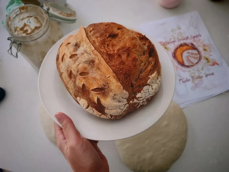 Sourdough Bread & Pizza